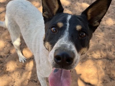 Hello my name is Doug