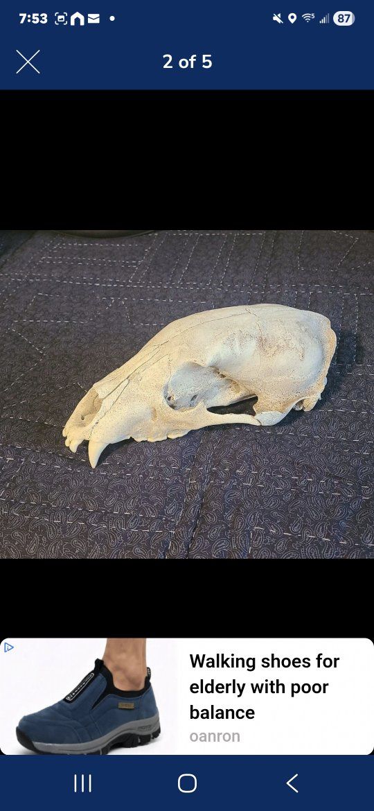 Main image 7