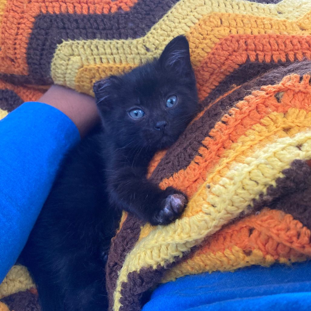 Hello my name is Birdie