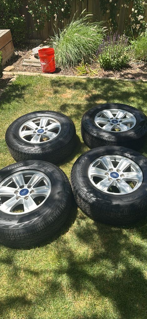 Wheels, Tires, Front Bumper