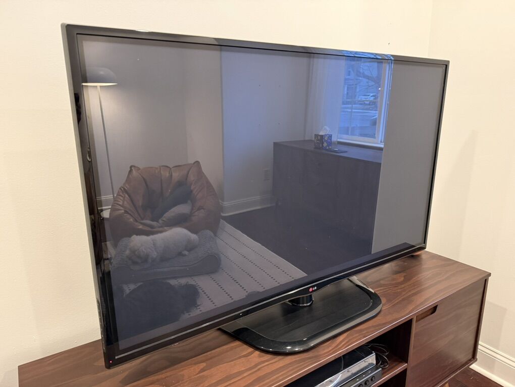 LG Plasma Television (55in)