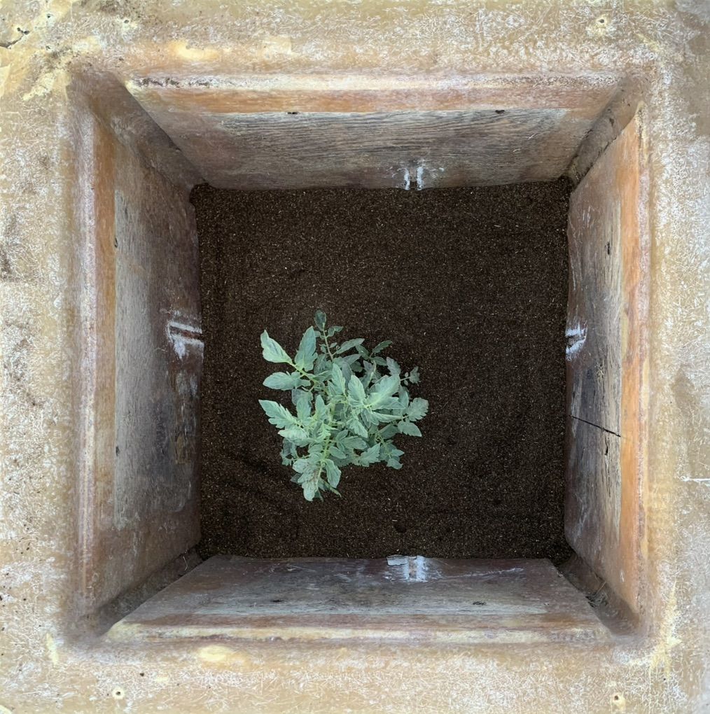Main image 2