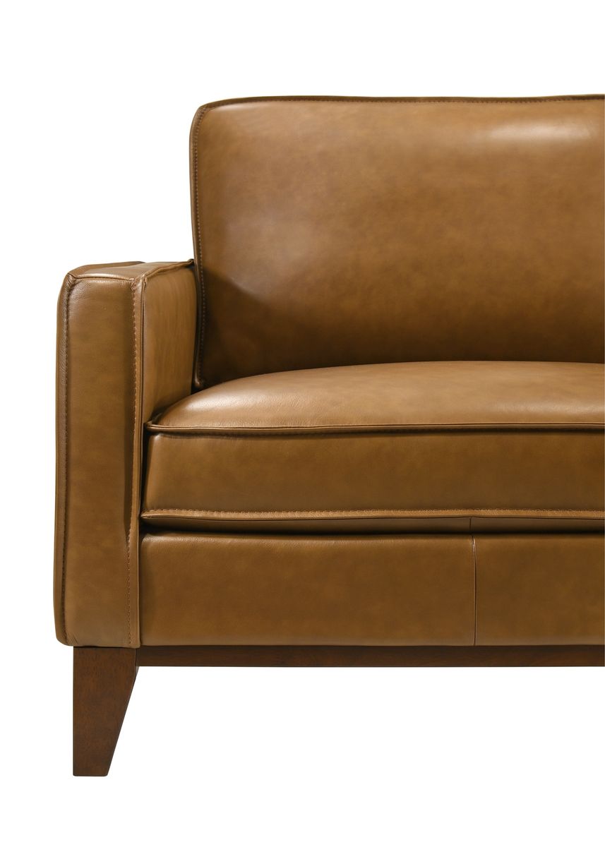 Main image 10