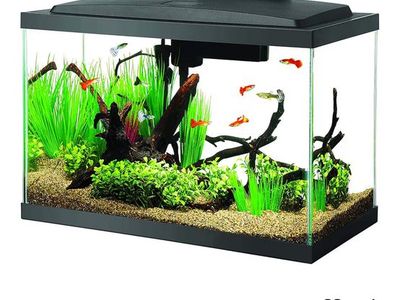 10 Gal Fish Tank