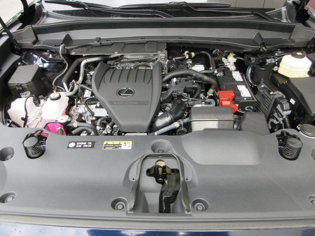 Main image 53