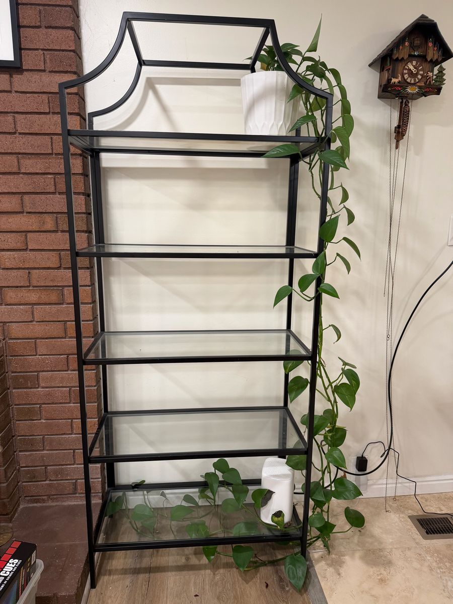 Modern Black Metal & Glass Display Shelf / Bookcase
