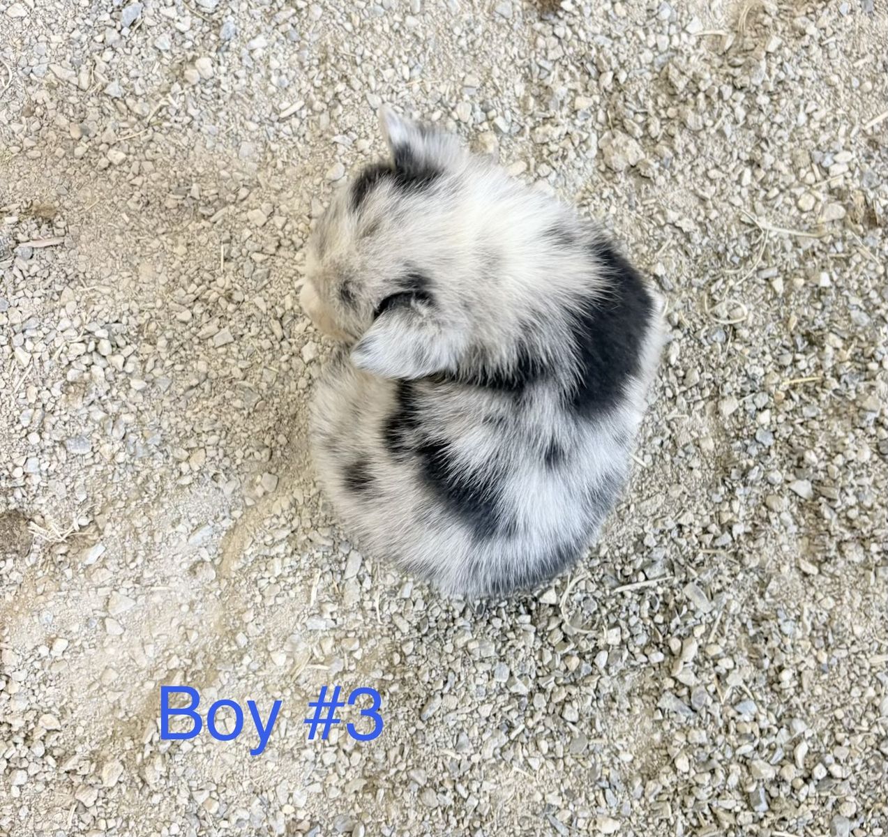 Main image 10
