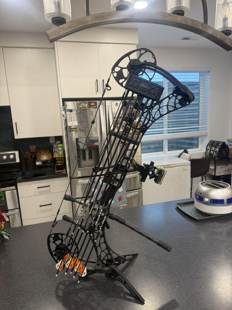 Mathews V3 31