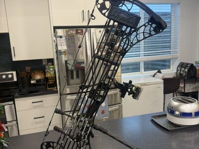Mathews V3 31