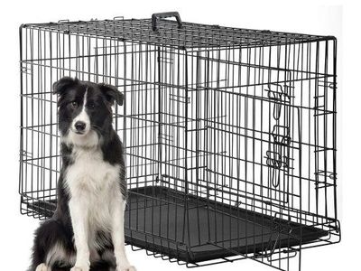 Dog Kennel