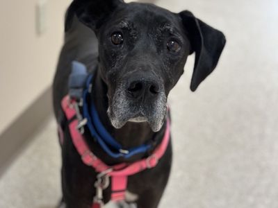 Hello my name is Leidy