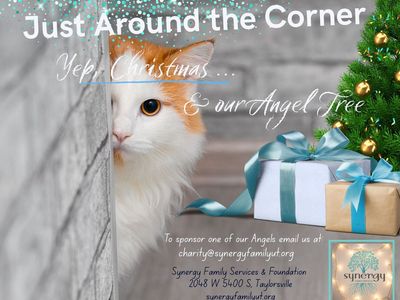Synergy Family Foundation - Angel Tree