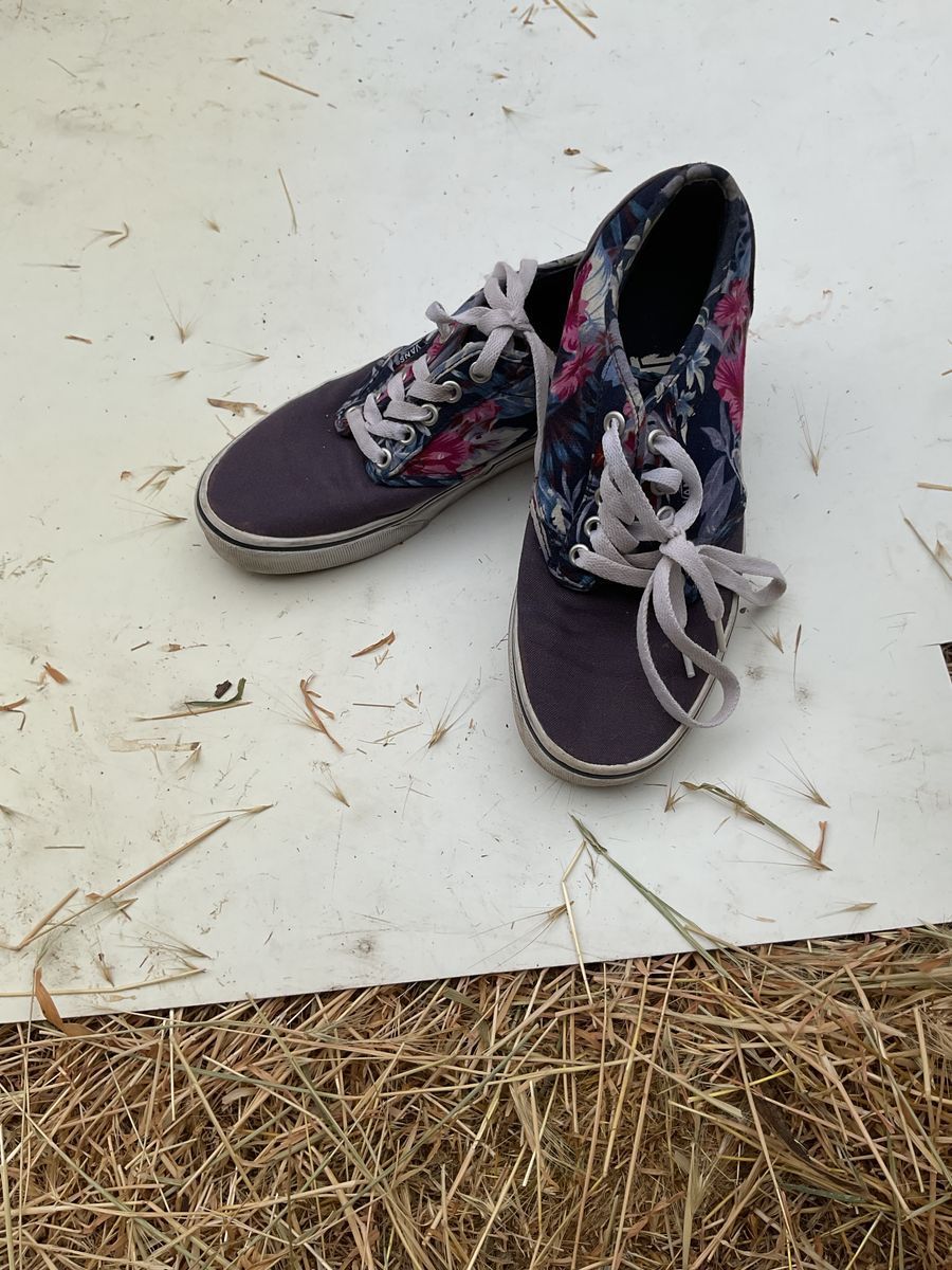 Vans floral pattern and blue lowtops