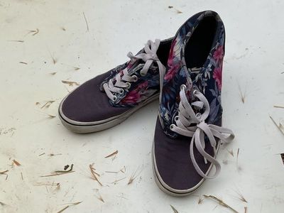 Vans floral pattern and blue lowtops