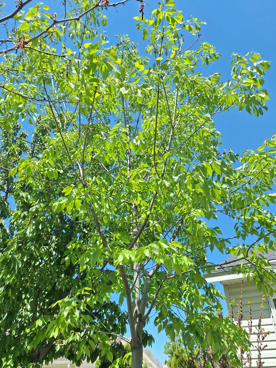 Main image 3