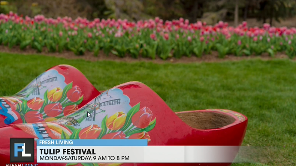 Tulip Festival Tickets - any day/any time