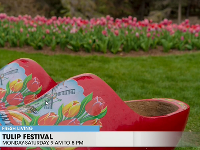 Tulip Festival Tickets - any day/any time