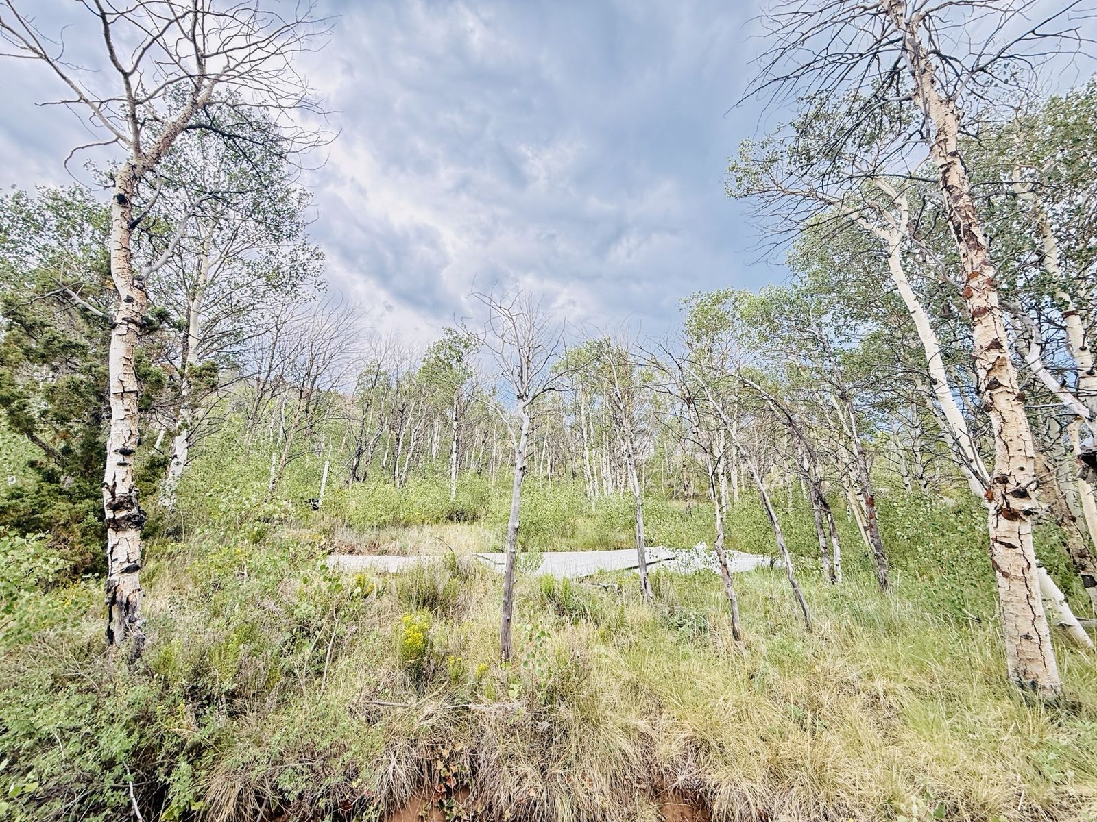 Main image 9