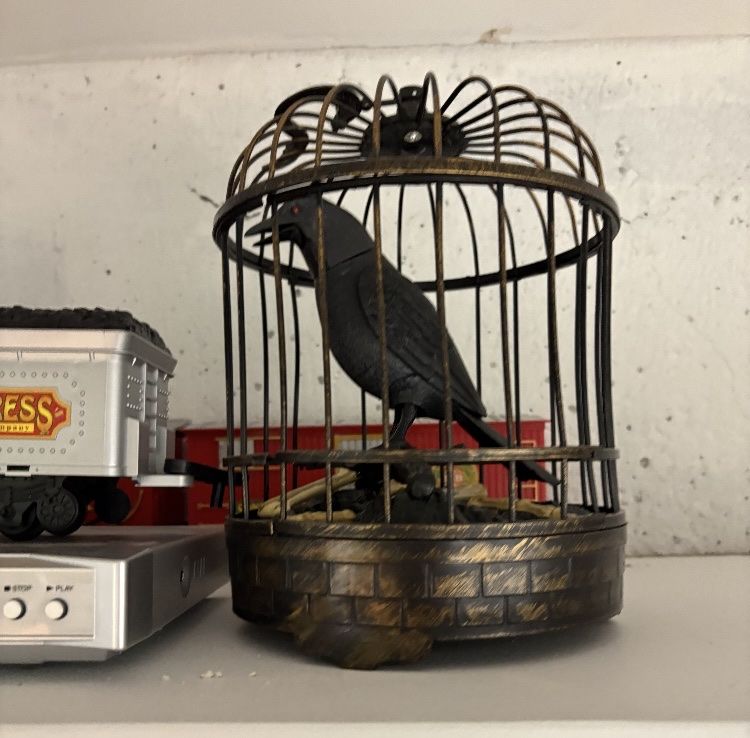Black Bird in Cage (Animated)