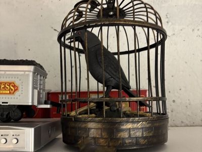 Black Bird in Cage (Animated)