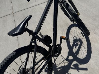 Diamondback Overdrive 29er Hardtail Mountain Bike - Matte Black, Size Large, Maxxis Tires