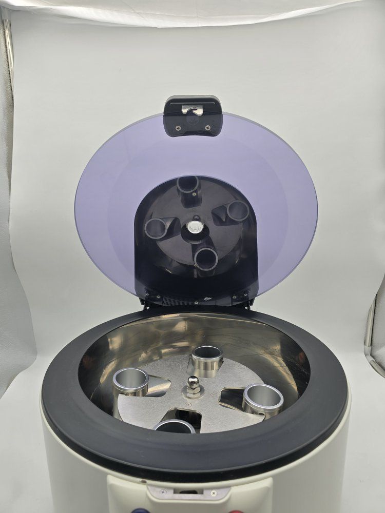 Main image 7