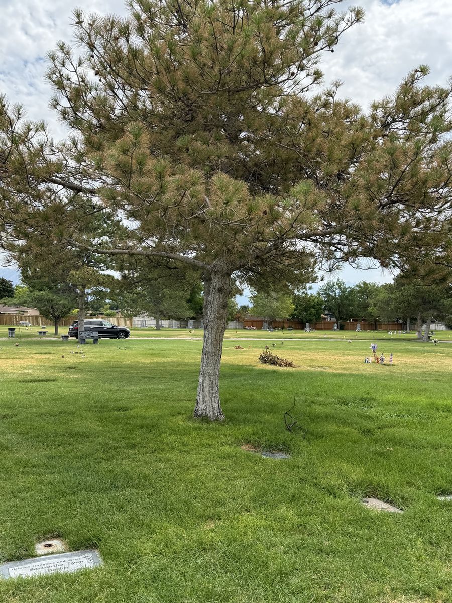 2 Burial Rights in One Plot in Valley View (includes rights for 2nd Interment -2 burials prepaid).