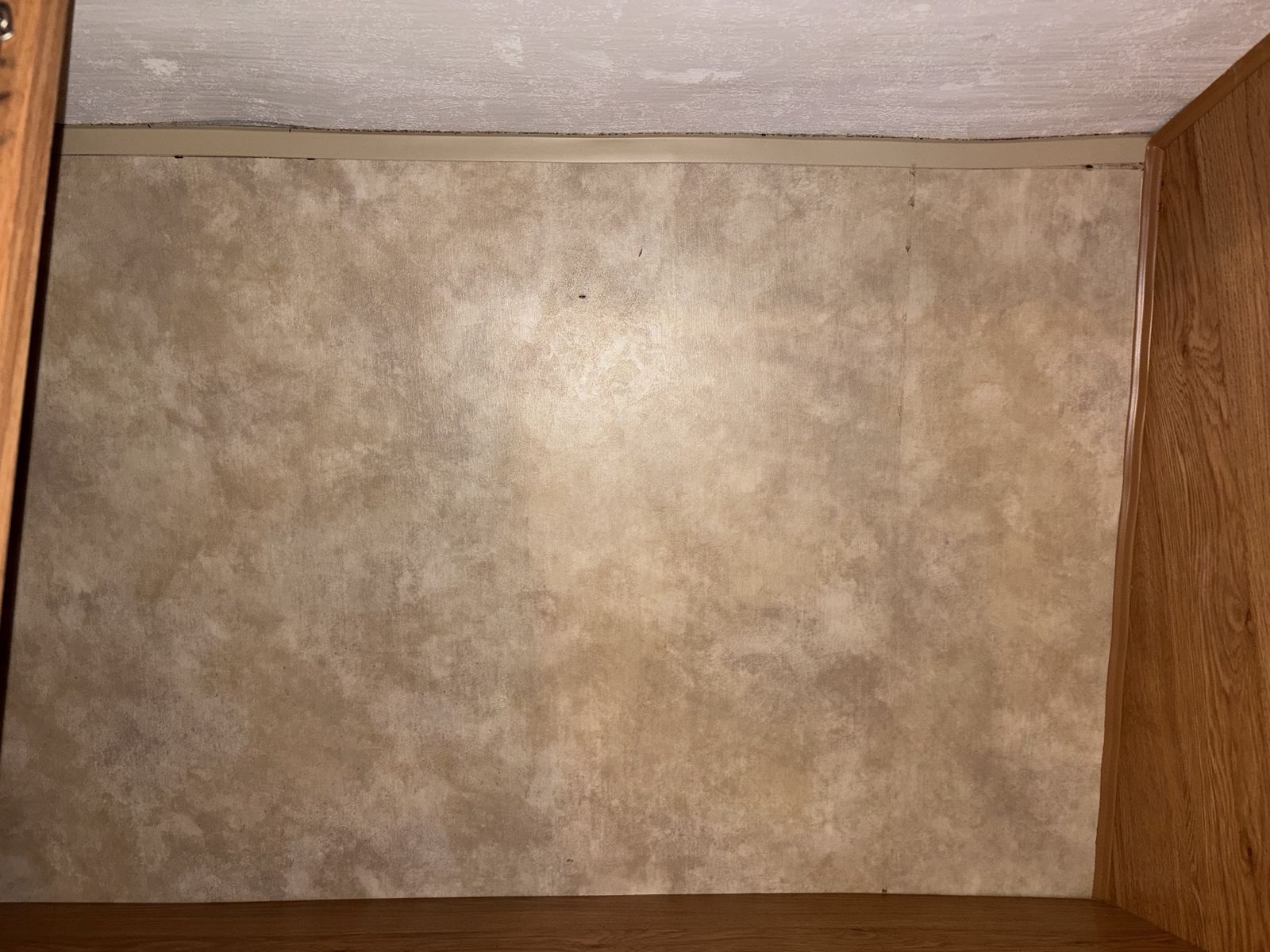 Main image 15