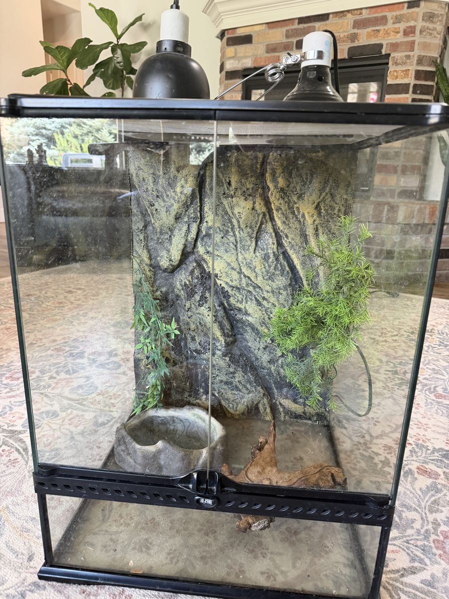 Exo Terra 35 gallon Glass Terrarium/tank, Great Condition 125 obo