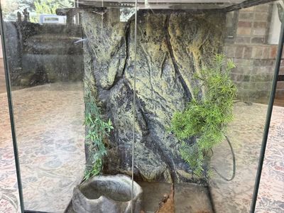 Exo Terra 35 gallon Glass Terrarium/tank, Great Condition 125 obo