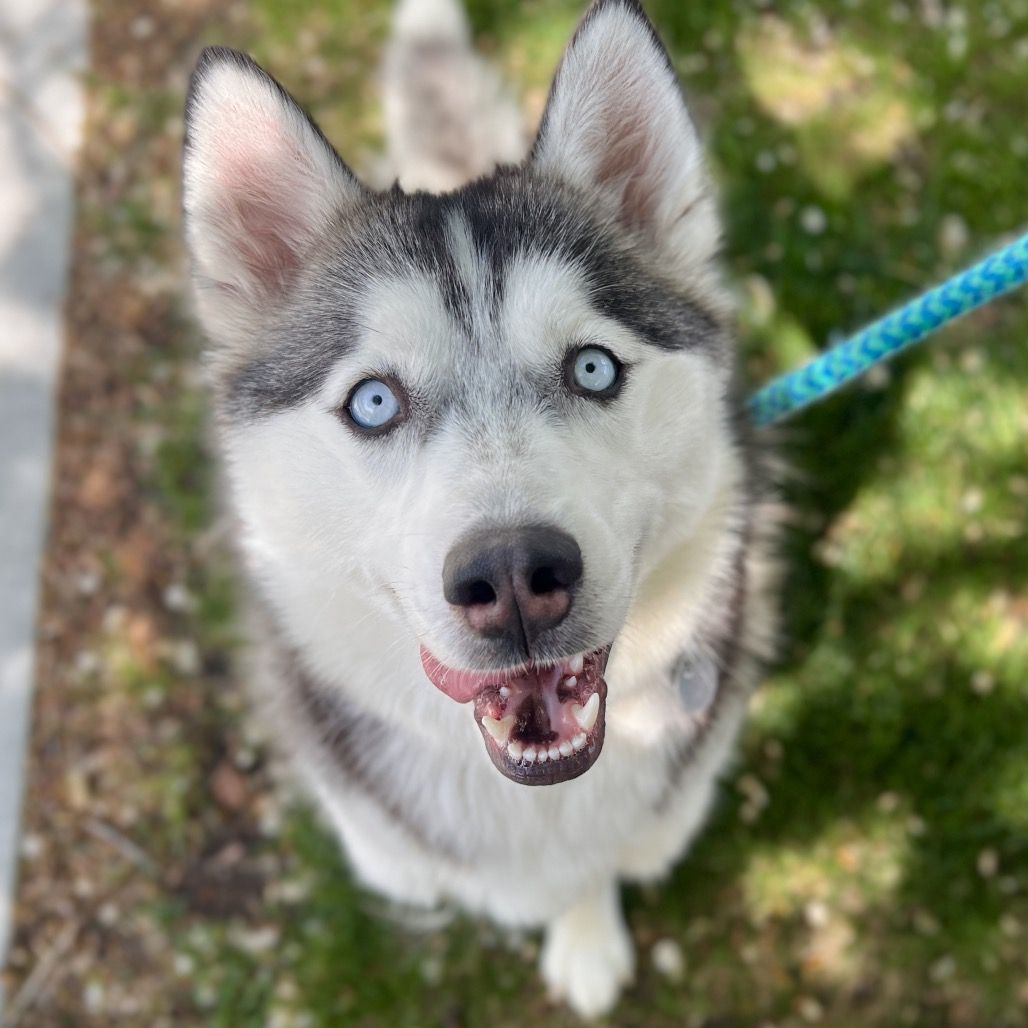 Hello my name is Pearl