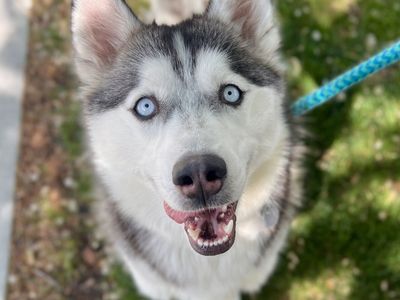 Hello my name is Pearl