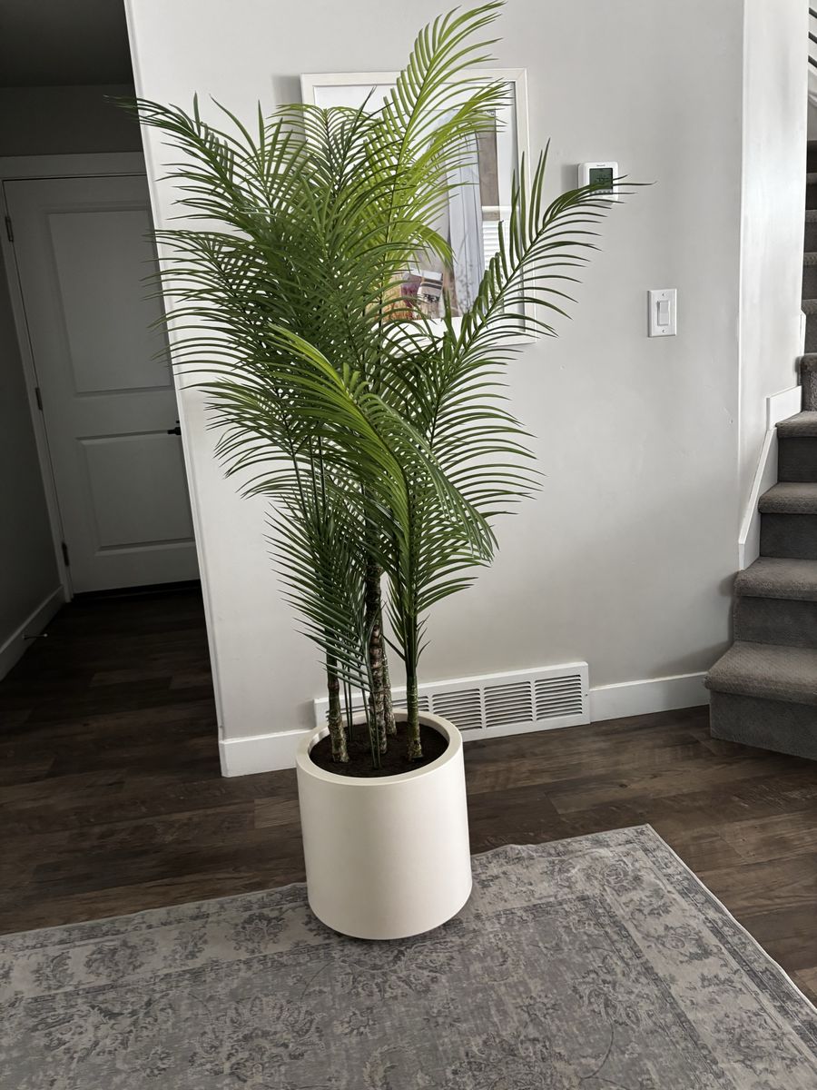 Main image 3
