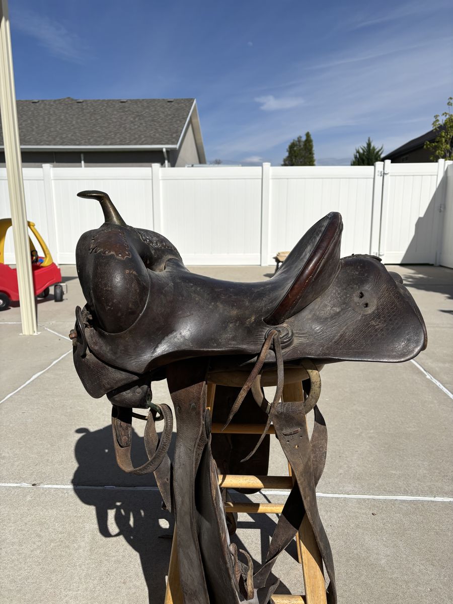 Saddle