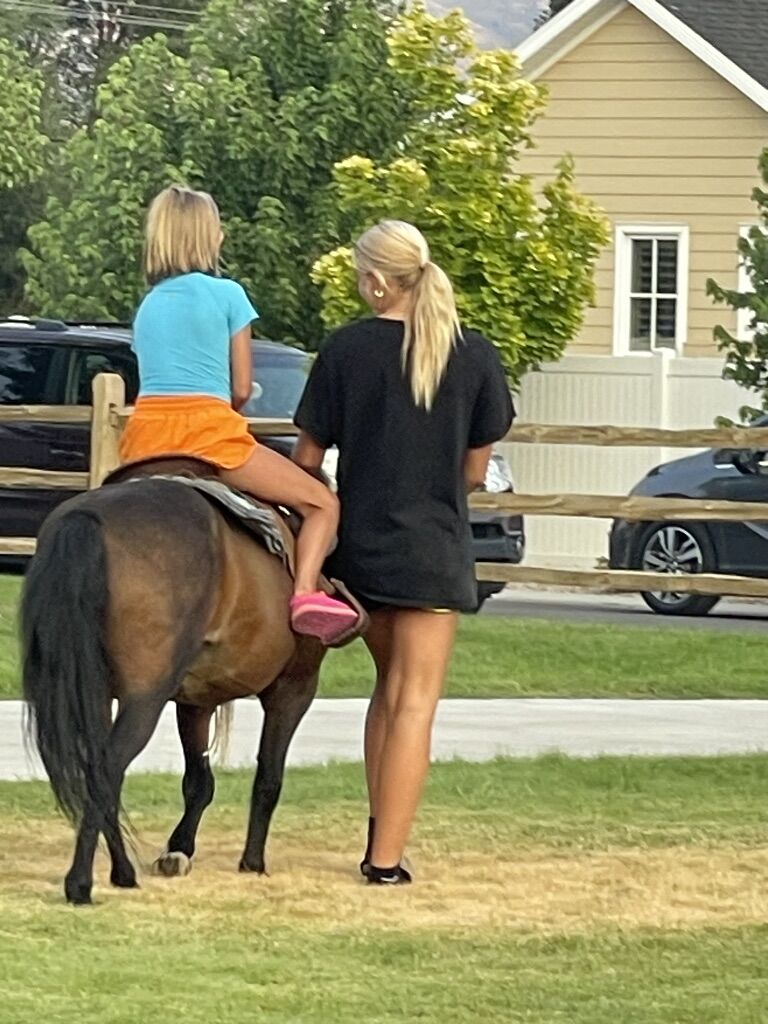 Petting Zoo & or Pony rental For Events And Party