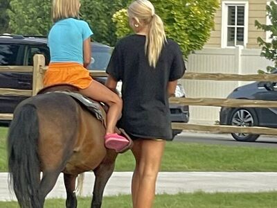 Petting Zoo & or Pony rental For Events And Party