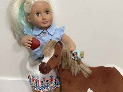 American And Our Generation Dolls