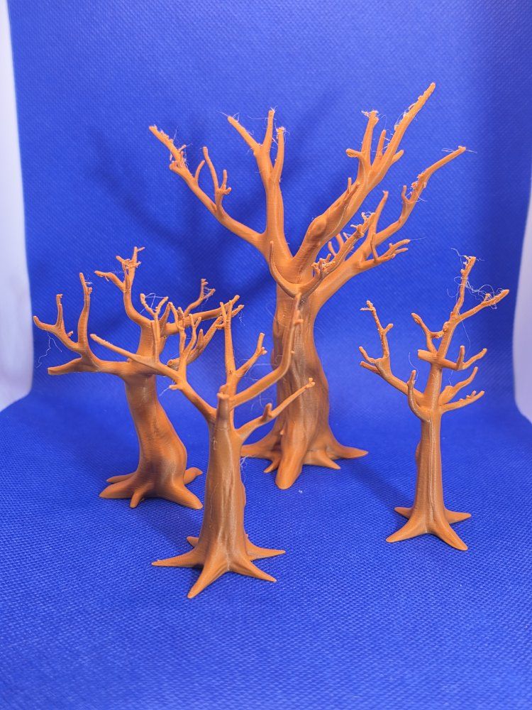 Main image 3