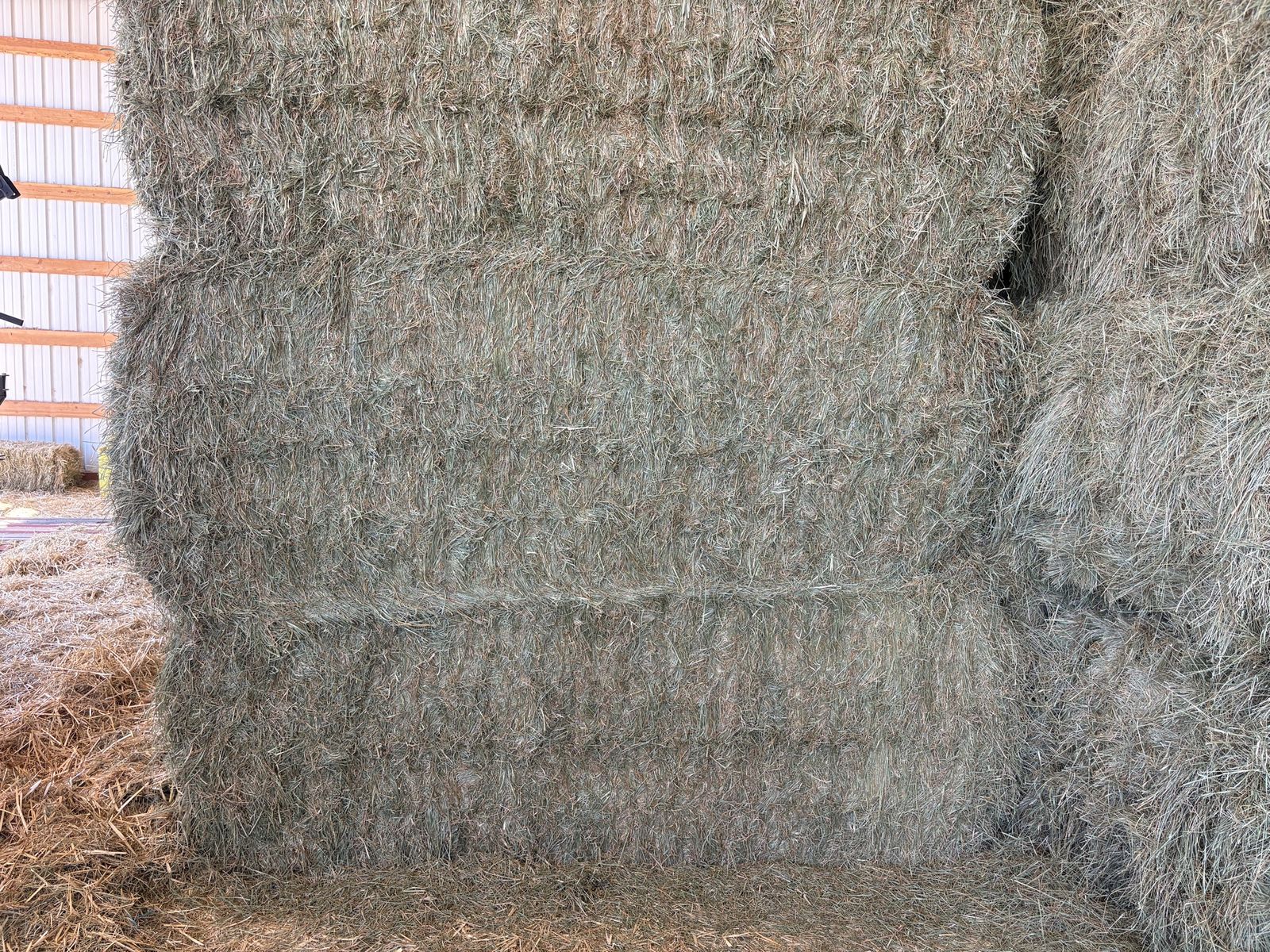 Main image 3
