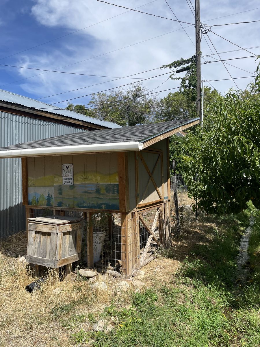Chicken Coop