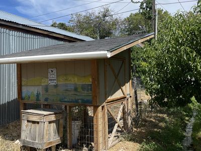 Chicken Coop