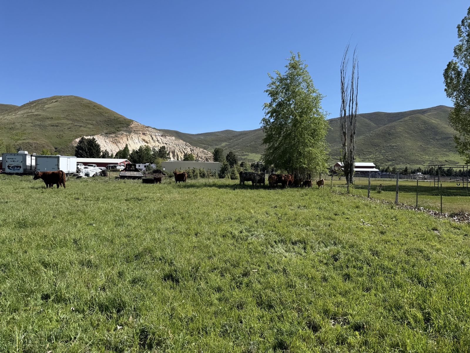 Main image 9