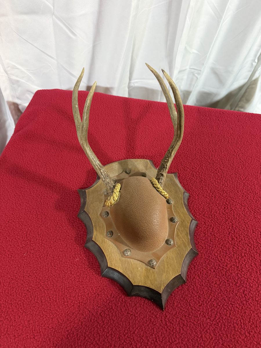 Main image 2