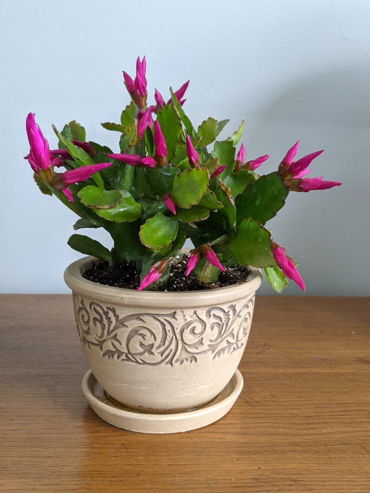 Main image 3