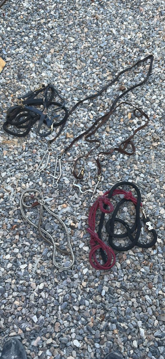 Miscellaneous horse tack 
