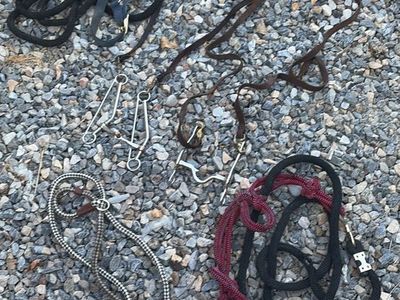 Miscellaneous horse tack