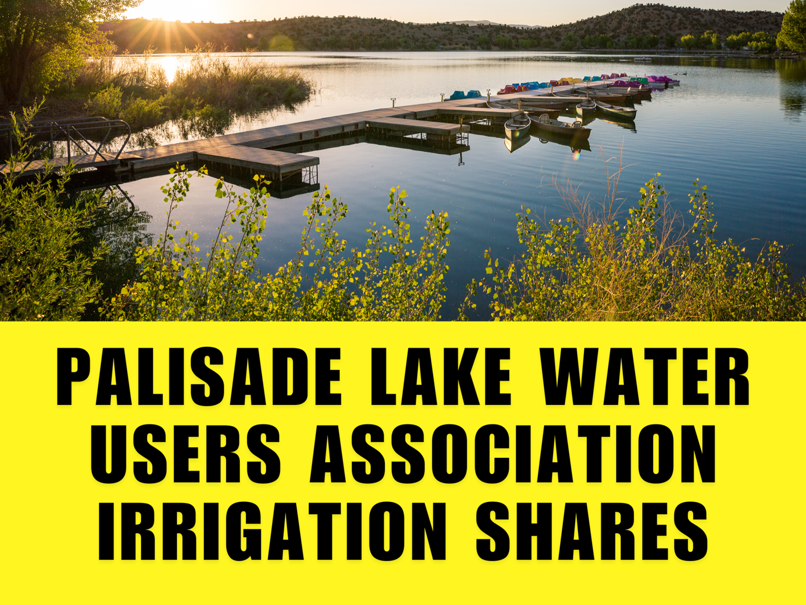 Palisade Water Users Association Shares