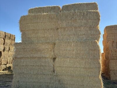 3x3 Straw Bales