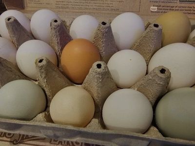 Farm fresh eggs
