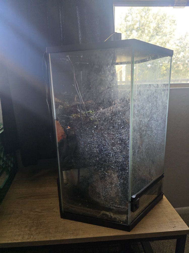 Exo Terra Glass Terrarium  Bioactive Reptile Amphibian Invertebrate Enclosure